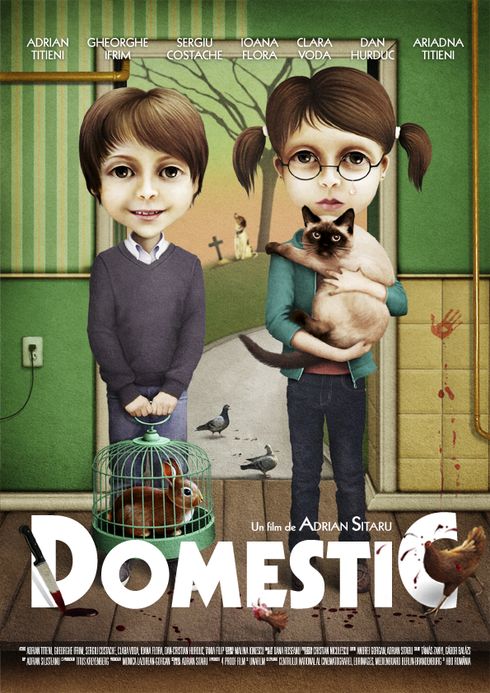 domestic poster LR (2)