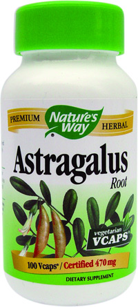 Astragalus de la Secom