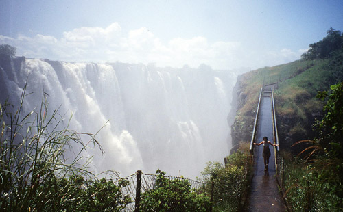 safari, africa