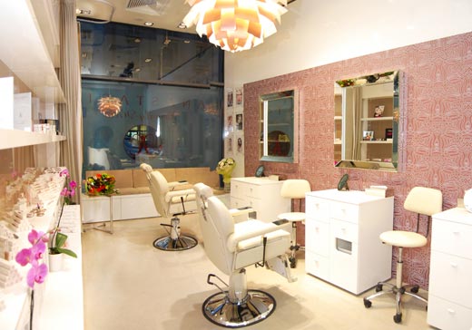 Salon Anastasia Soare