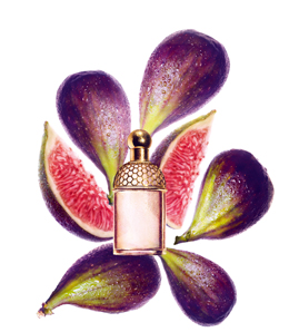 parfum